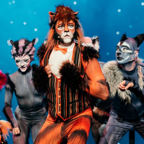 Edward-Inspiruje-Musical koty Wyjatkowe-wydarzenia