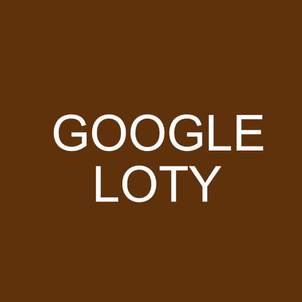 Edward-Inspiruje-Zmień-światopogląd-Google-loty